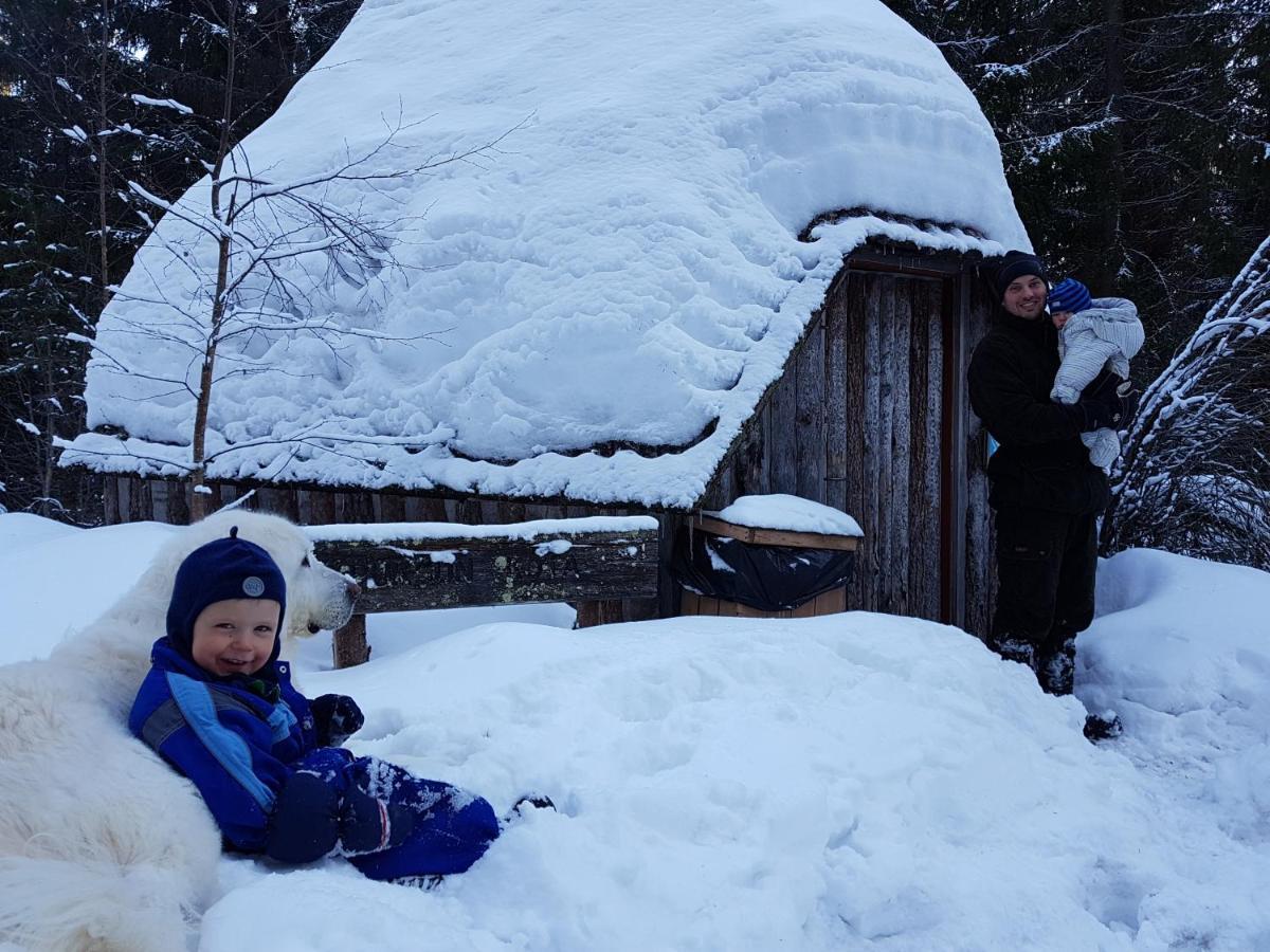 Villa Tiiramoekki Parikkala Esterno foto